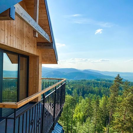 Kazalnica Family&Conference Resort W Sosnowce Kolo Karpacza Sosnowka  Exterior photo